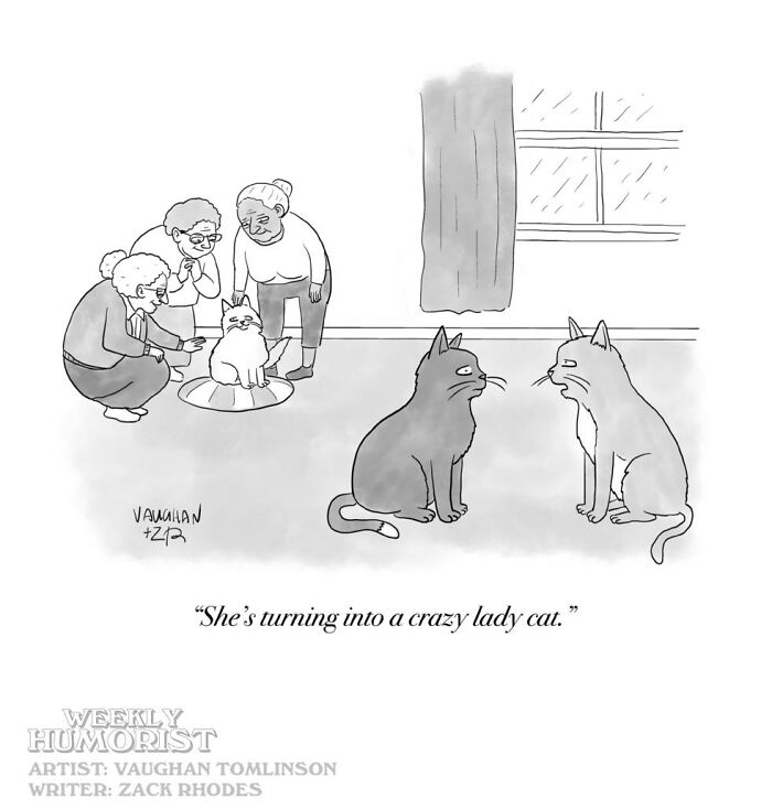 From Absurd Observations To Dark Punchlines: 45 New Single-Panel Cartoons By Zack Rhodes From Absurd Observations To Dark Punchlines: 45 New Single-Panel Cartoons By Zack Rhodes