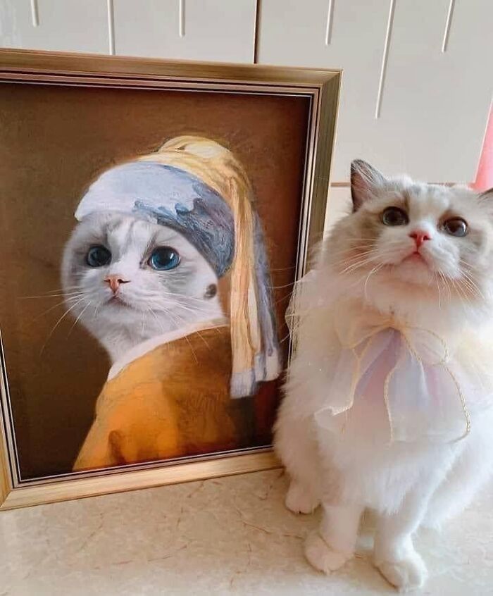 40 Funny Cat Photos From &lsquo;Meaaaow&rsquo; That Show Cats Doing What They Do Best