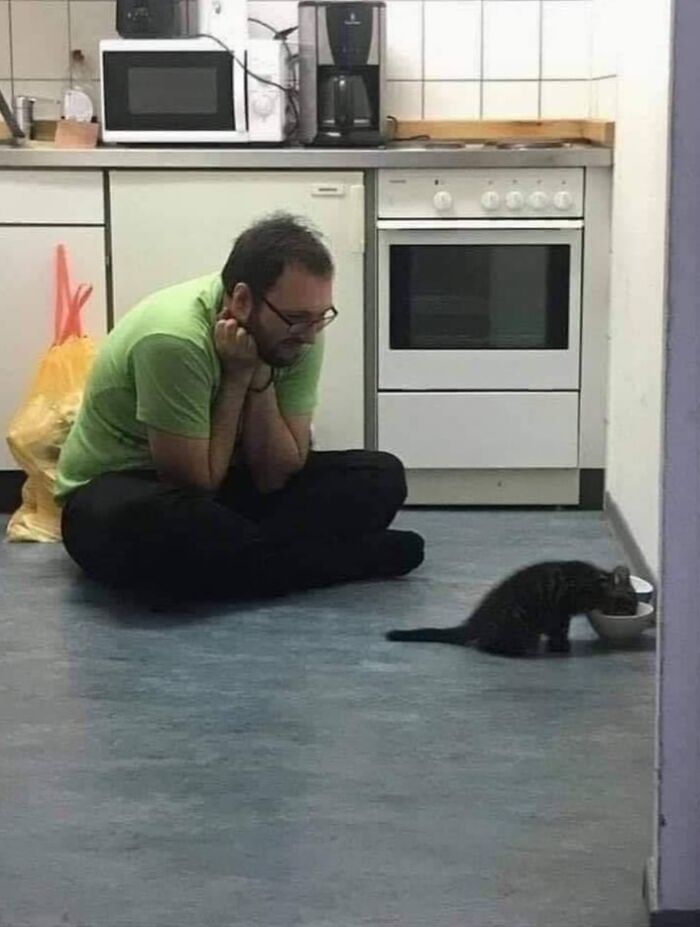 40 Funny Cat Photos From &lsquo;Meaaaow&rsquo; That Show Cats Doing What They Do Best