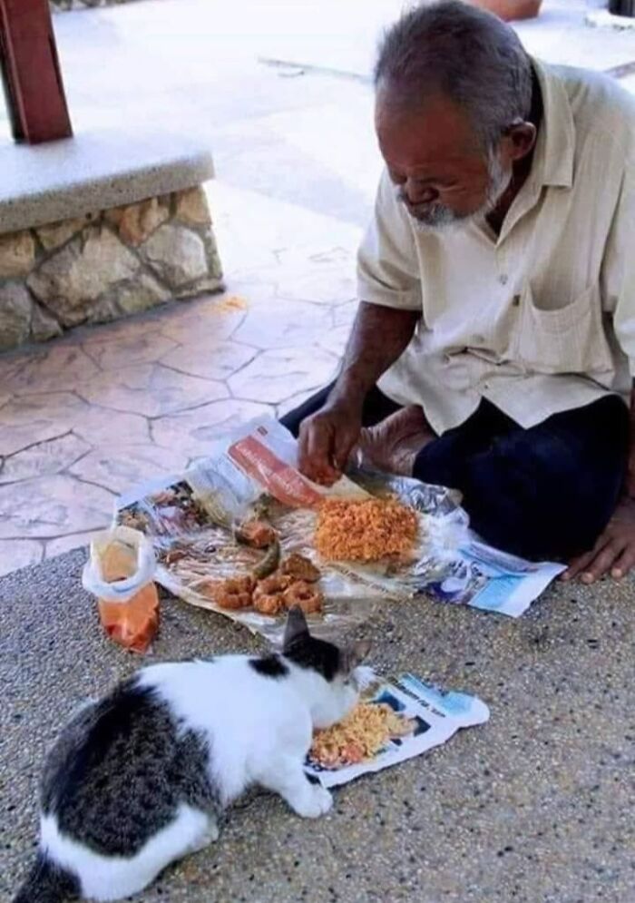 40 Funny Cat Photos From &lsquo;Meaaaow&rsquo; That Show Cats Doing What They Do Best