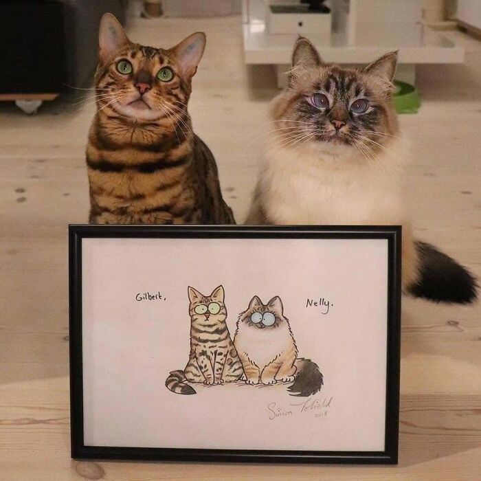 40 Funny Cat Photos From &lsquo;Meaaaow&rsquo; That Show Cats Doing What They Do Best