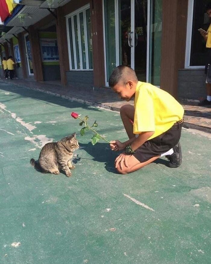 40 Funny Cat Photos From &lsquo;Meaaaow&rsquo; That Show Cats Doing What They Do Best
