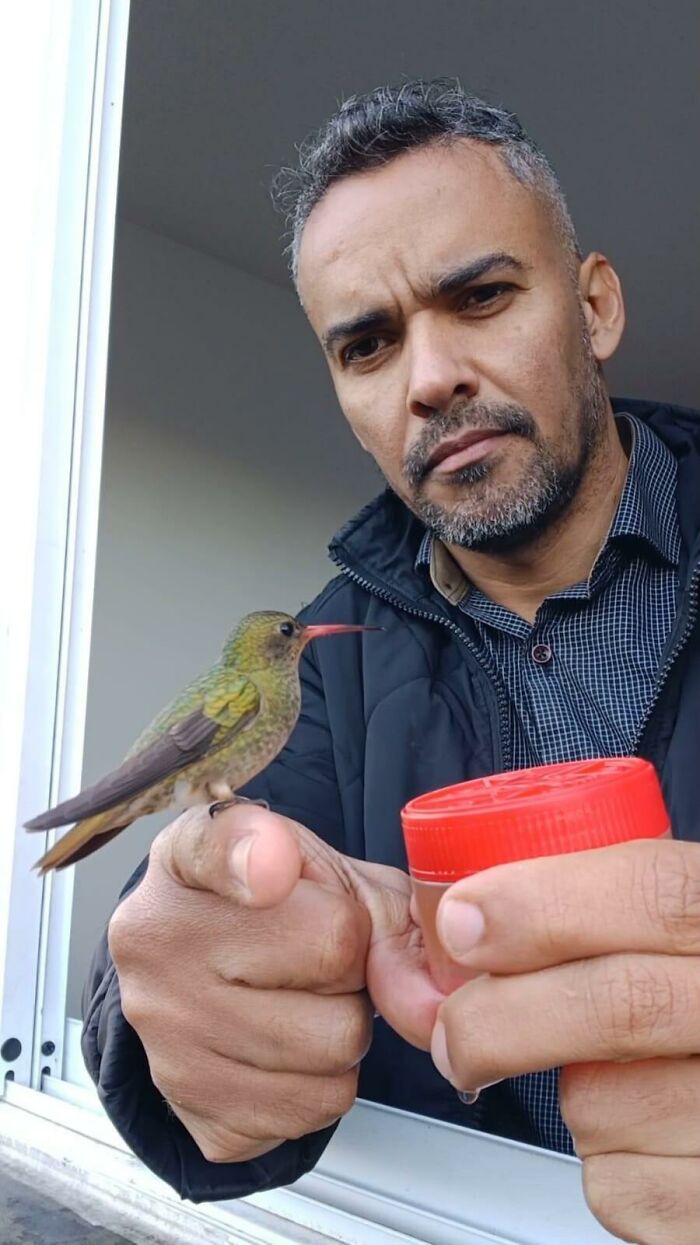 This Brazilian Man Turned His Window Into A Little “Bird Restaurant,” And 21 Photos Show The Guests This Brazilian Man Turned His Window Into A Little “Bird Restaurant,” And 21 Photos Show The Guests