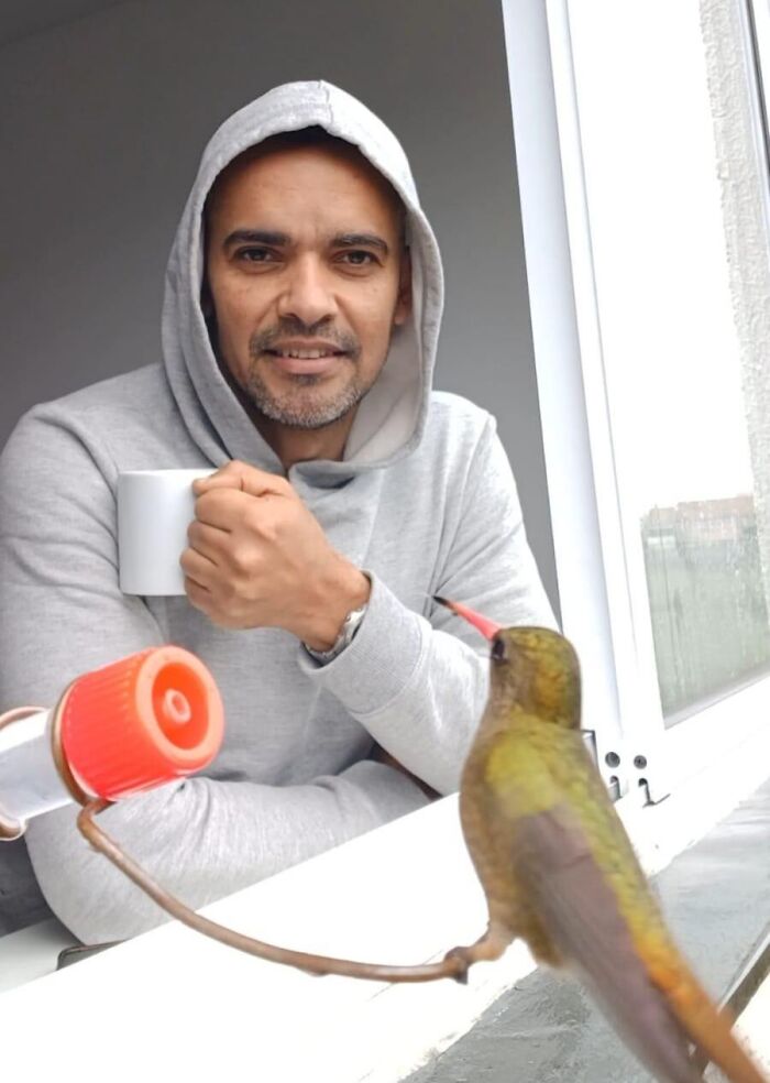 This Brazilian Man Turned His Window Into A Little “Bird Restaurant,” And 21 Photos Show The Guests This Brazilian Man Turned His Window Into A Little “Bird Restaurant,” And 21 Photos Show The Guests