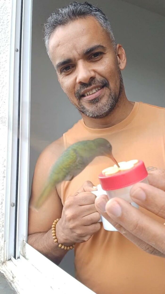 This Brazilian Man Turned His Window Into A Little “Bird Restaurant,” And 21 Photos Show The Guests This Brazilian Man Turned His Window Into A Little “Bird Restaurant,” And 21 Photos Show The Guests