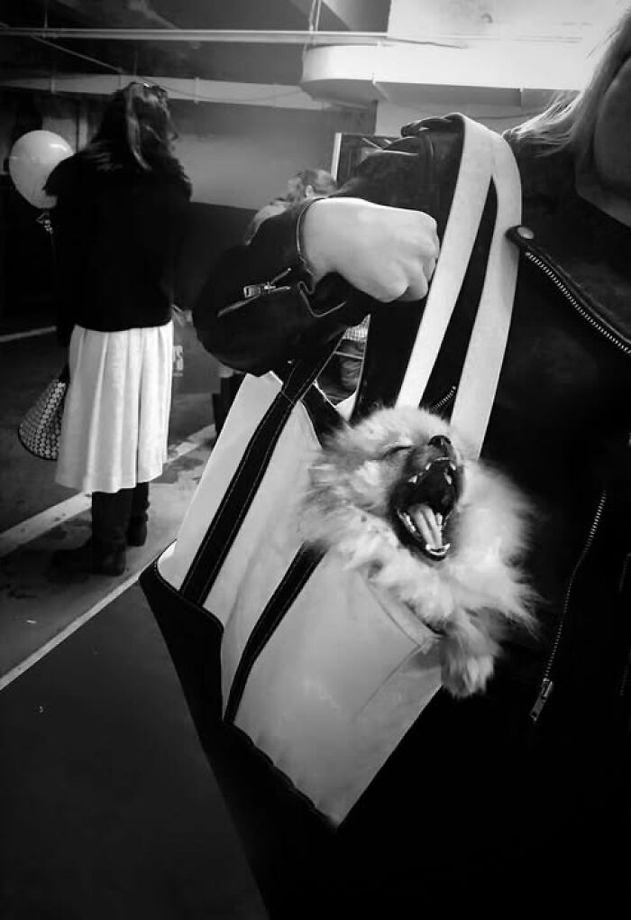 34 Street Photos By Taylor Coble That Turn Fleeting Moments Into Visual Stories 34 Street Photos By Taylor Coble That Turn Fleeting Moments Into Visual Stories