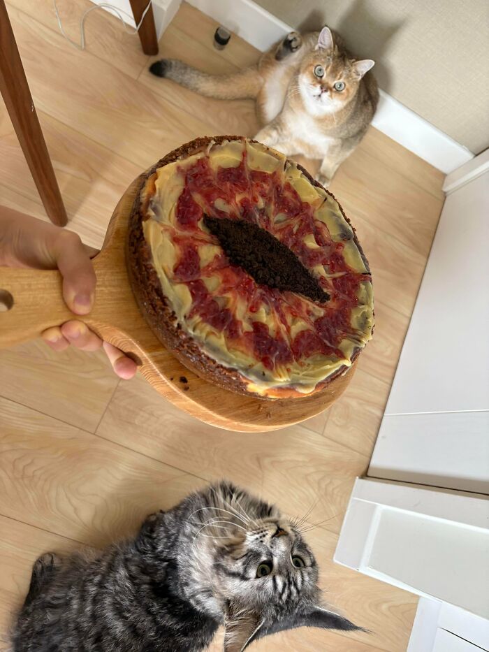 80 Times Bakers Proved That Their Treats Can Both Look Amazing And Taste Delicious (New Pics)