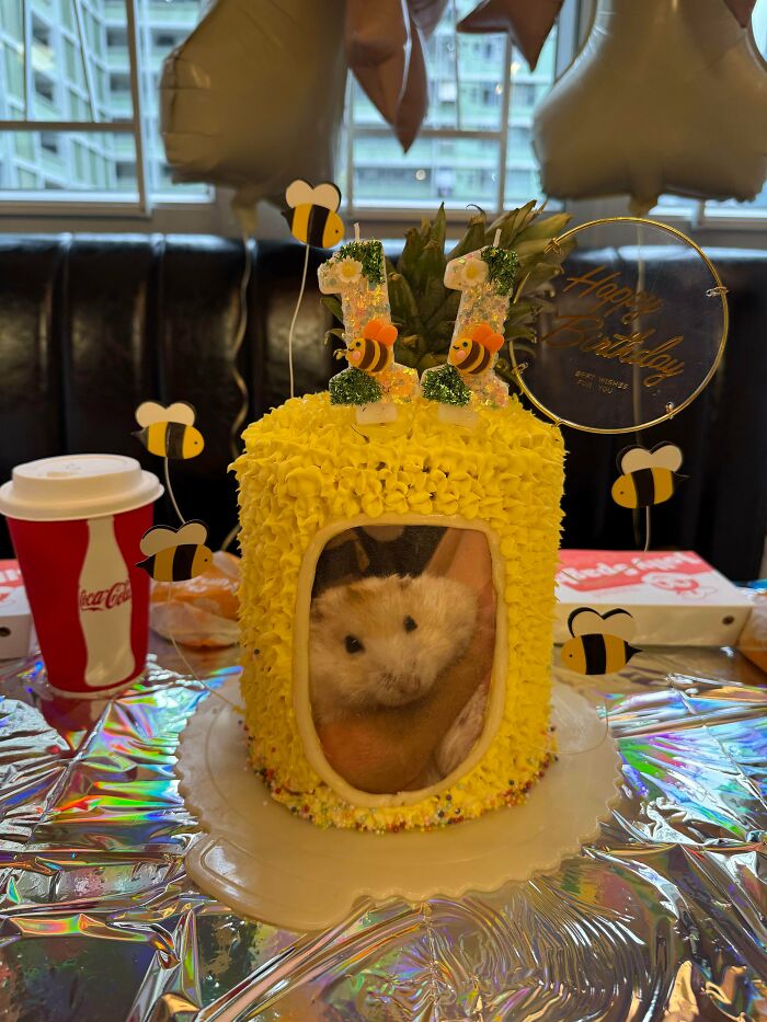 80 Times Bakers Proved That Their Treats Can Both Look Amazing And Taste Delicious (New Pics)