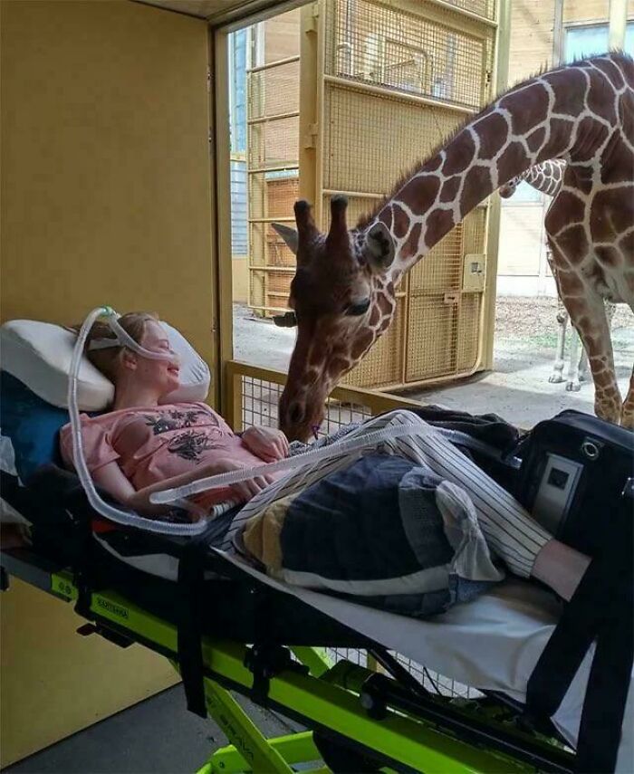 90 Interesting And Uplifting Posts That Are A Much-Needed Break From Everything Going On (New Pics)
