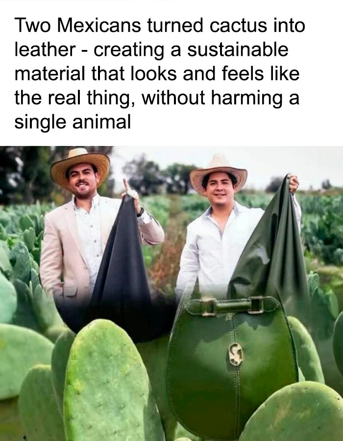 90 Interesting And Uplifting Posts That Are A Much-Needed Break From Everything Going On (New Pics)