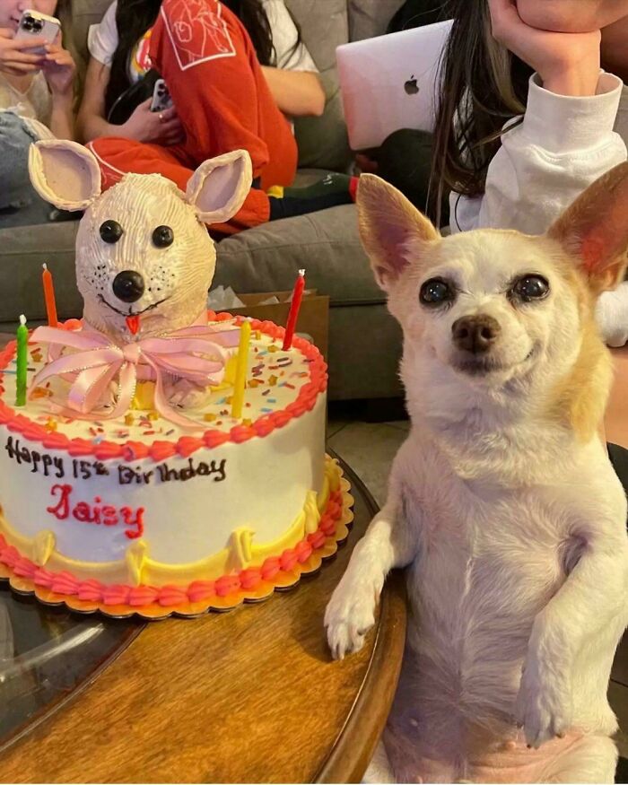 90 Interesting And Uplifting Posts That Are A Much-Needed Break From Everything Going On (New Pics)