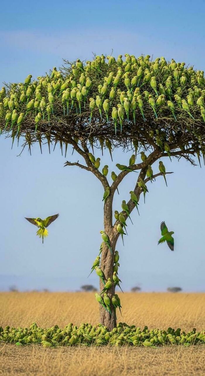 90 Interesting And Uplifting Posts That Are A Much-Needed Break From Everything Going On (New Pics)