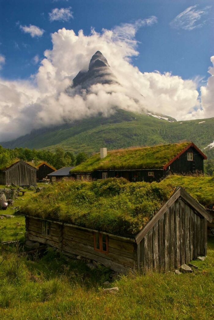 90 Interesting And Uplifting Posts That Are A Much-Needed Break From Everything Going On (New Pics)
