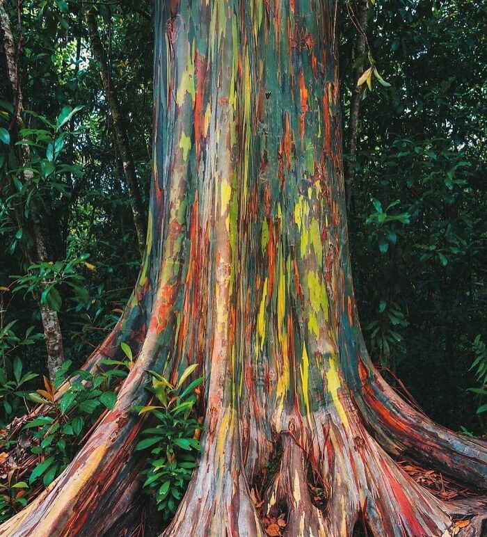 90 Interesting And Uplifting Posts That Are A Much-Needed Break From Everything Going On (New Pics)
