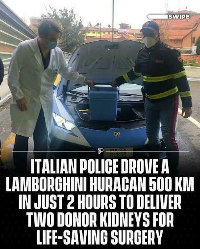 90 Interesting And Uplifting Posts That Are A Much-Needed Break From Everything Going On (New Pics)