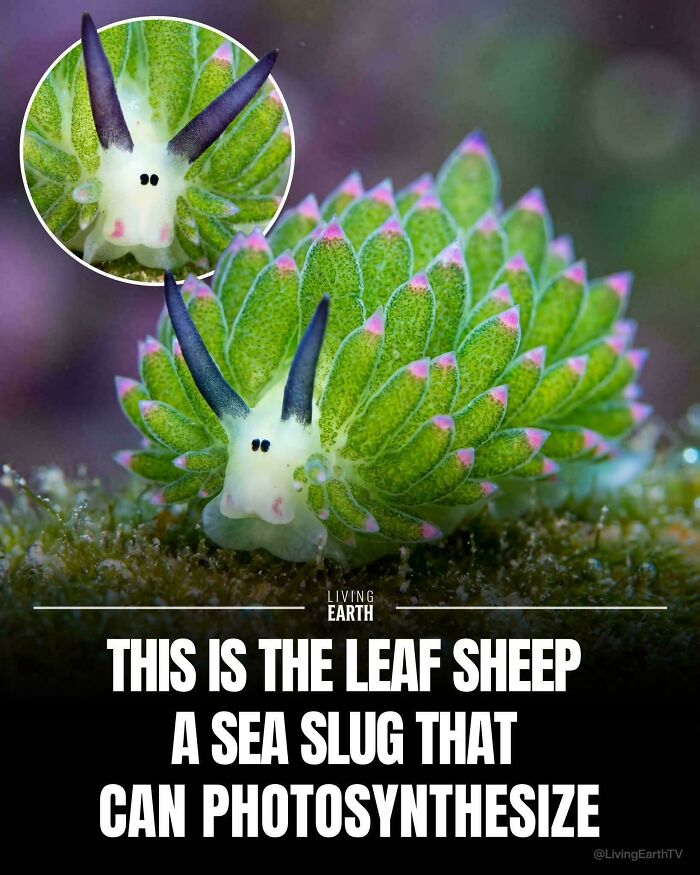 90 Interesting And Uplifting Posts That Are A Much-Needed Break From Everything Going On (New Pics)