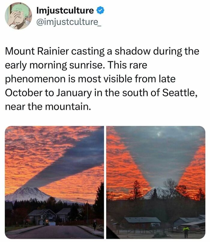 44 Interesting Posts For Those Who Enjoy An Information Buffet With Their Morning Coffee 44 Interesting Posts For Those Who Enjoy An Information Buffet With Their Morning Coffee