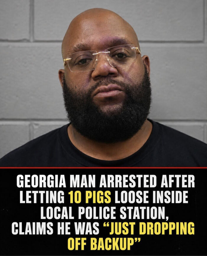 56 Chaotic Good Posts From Real Life To Inspire You To Be The Hero Everyone Needs 56 Chaotic Good Posts From Real Life To Inspire You To Be The Hero Everyone Needs