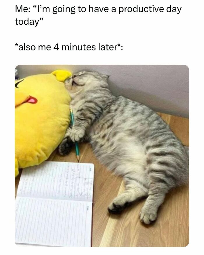 70 Funny Cat Memes Shared By This Page To Send Your Furry Friend And Lift Your Spirits