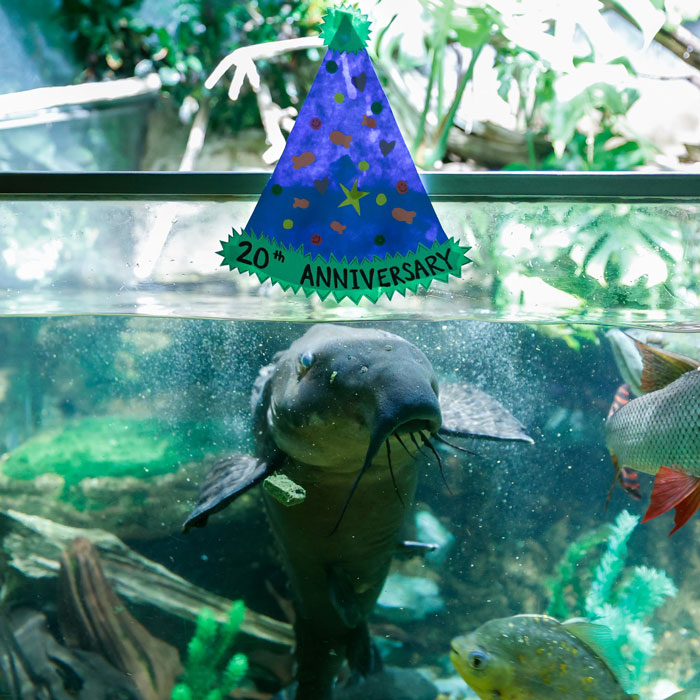 Nashville Zoo Sounds The Alarm As Controversial AI Infrastructure Creeps Toward Endangered Animals Nashville Zoo Sounds The Alarm As Controversial AI Infrastructure Creeps Toward Endangered Animals