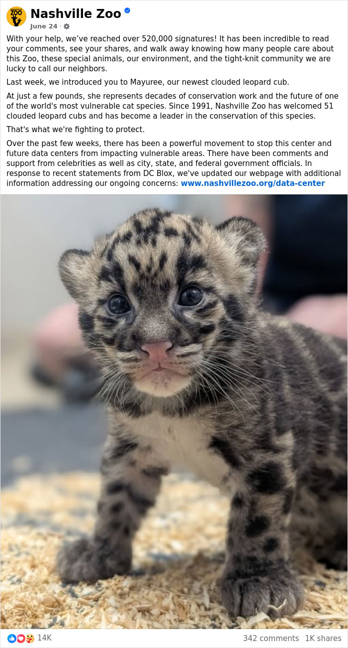 Nashville Zoo Sounds The Alarm As Controversial AI Infrastructure Creeps Toward Endangered Animals Nashville Zoo Sounds The Alarm As Controversial AI Infrastructure Creeps Toward Endangered Animals