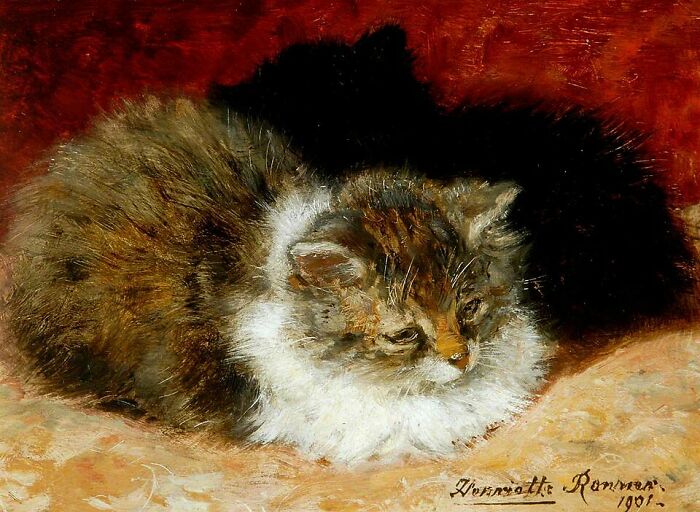 This Artist’s 40 Cat Paintings From The 19th Century Equivalent Of A Gallery Full Of Cat Photos This Artist’s 40 Cat Paintings From The 19th Century Equivalent Of A Gallery Full Of Cat Photos
