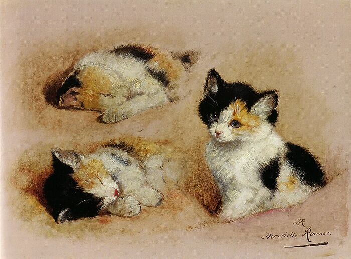 This Artist’s 40 Cat Paintings From The 19th Century Equivalent Of A Gallery Full Of Cat Photos This Artist’s 40 Cat Paintings From The 19th Century Equivalent Of A Gallery Full Of Cat Photos