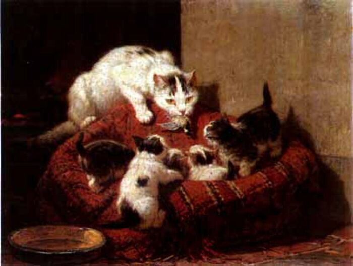 This Artist’s 40 Cat Paintings From The 19th Century Equivalent Of A Gallery Full Of Cat Photos This Artist’s 40 Cat Paintings From The 19th Century Equivalent Of A Gallery Full Of Cat Photos