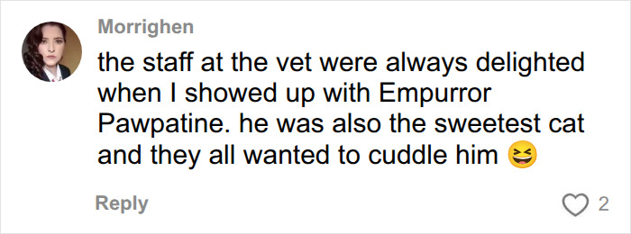 Vet Shares The Most Ridiculous Pet Names He’s Heard After Years In The Business: “Patricia? This Is Not Okay” Vet Shares The Most Ridiculous Pet Names He’s Heard After Years In The Business: “Patricia? This Is Not Okay”