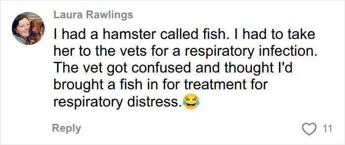 Vet Shares The Most Ridiculous Pet Names He’s Heard After Years In The Business: “Patricia? This Is Not Okay” Vet Shares The Most Ridiculous Pet Names He’s Heard After Years In The Business: “Patricia? This Is Not Okay”