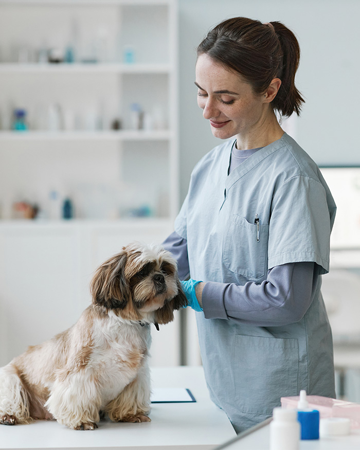 Vet Shares The Most Ridiculous Pet Names He’s Heard After Years In The Business: “Patricia? This Is Not Okay” Vet Shares The Most Ridiculous Pet Names He’s Heard After Years In The Business: “Patricia? This Is Not Okay”