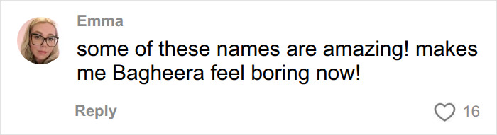 Vet Shares The Most Ridiculous Pet Names He’s Heard After Years In The Business: “Patricia? This Is Not Okay” Vet Shares The Most Ridiculous Pet Names He’s Heard After Years In The Business: “Patricia? This Is Not Okay”