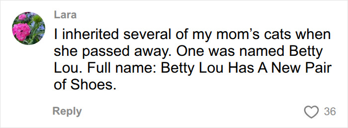 Vet Shares The Most Ridiculous Pet Names He’s Heard After Years In The Business: “Patricia? This Is Not Okay” Vet Shares The Most Ridiculous Pet Names He’s Heard After Years In The Business: “Patricia? This Is Not Okay”
