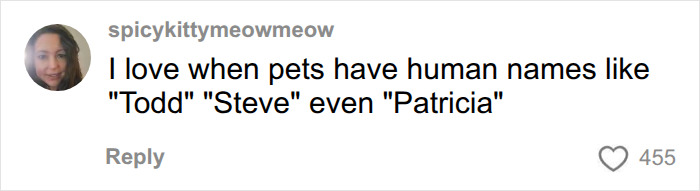 Vet Shares The Most Ridiculous Pet Names He’s Heard After Years In The Business: “Patricia? This Is Not Okay” Vet Shares The Most Ridiculous Pet Names He’s Heard After Years In The Business: “Patricia? This Is Not Okay”