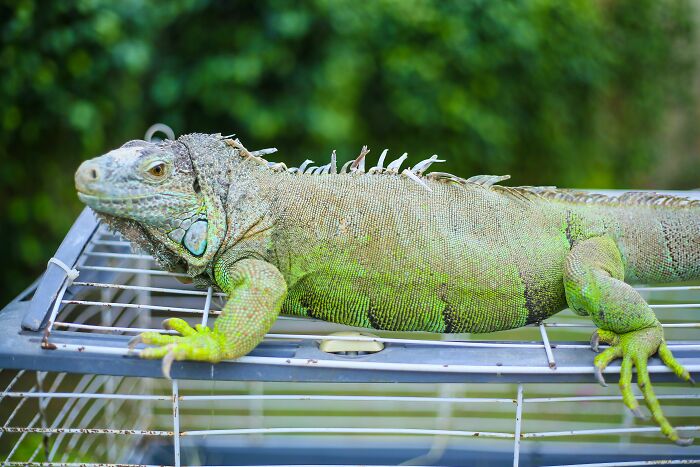 52 Of The Weirdest Things People Were Not Prepared To See At Someone’s Home 52 Of The Weirdest Things People Were Not Prepared To See At Someone’s Home