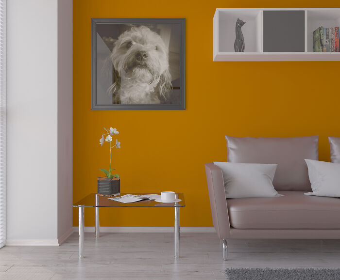 52 Of The Weirdest Things People Were Not Prepared To See At Someone’s Home 52 Of The Weirdest Things People Were Not Prepared To See At Someone’s Home