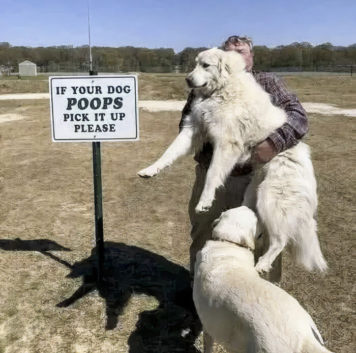 The Internet Is Still Going Strong And Is Serving You These 67 Hilarious Photos The Internet Is Still Going Strong And Is Serving You These 67 Hilarious Photos