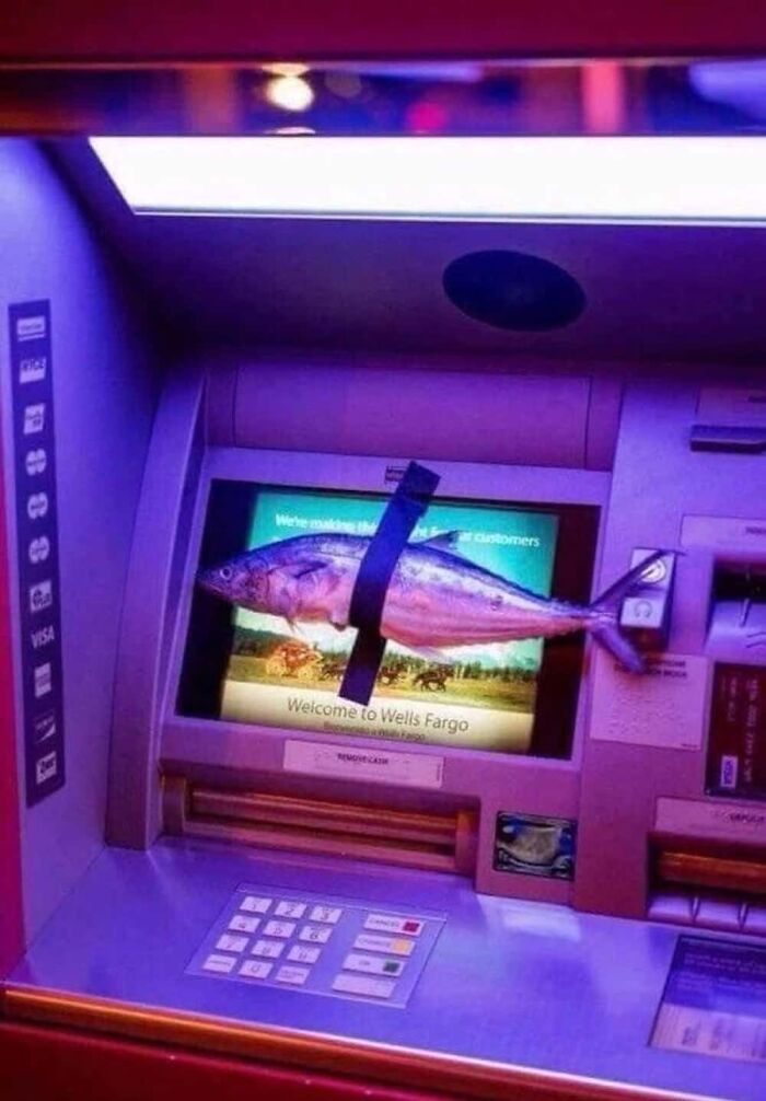 The Internet Is Still Going Strong And Is Serving You These 67 Hilarious Photos The Internet Is Still Going Strong And Is Serving You These 67 Hilarious Photos