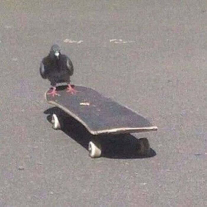 The Internet Is Still Going Strong And Is Serving You These 67 Hilarious Photos The Internet Is Still Going Strong And Is Serving You These 67 Hilarious Photos