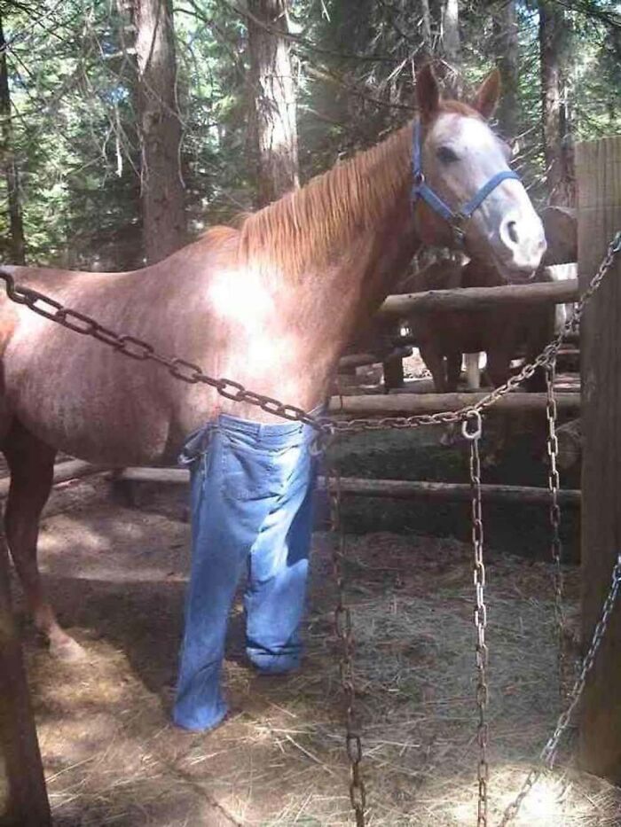 The Internet Is Still Going Strong And Is Serving You These 67 Hilarious Photos The Internet Is Still Going Strong And Is Serving You These 67 Hilarious Photos