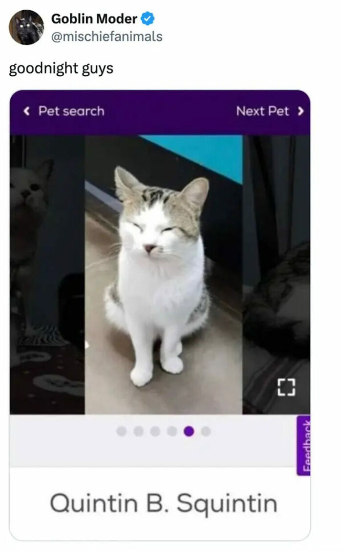 The Internet Is Still Going Strong And Is Serving You These 67 Hilarious Photos The Internet Is Still Going Strong And Is Serving You These 67 Hilarious Photos