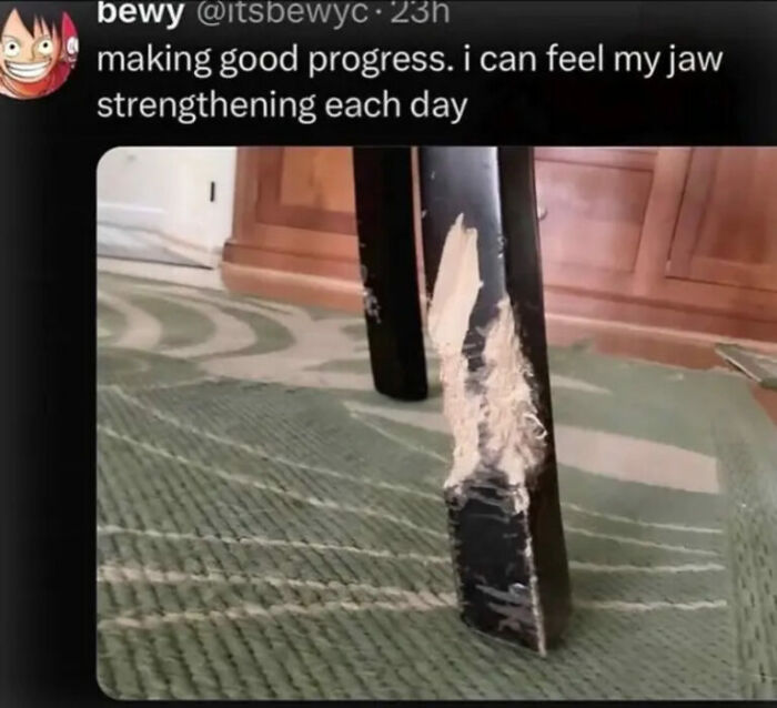 The Internet Is Still Going Strong And Is Serving You These 67 Hilarious Photos The Internet Is Still Going Strong And Is Serving You These 67 Hilarious Photos