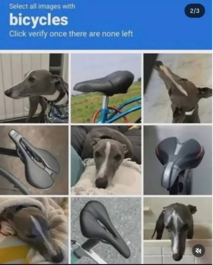 The Internet Is Still Going Strong And Is Serving You These 67 Hilarious Photos The Internet Is Still Going Strong And Is Serving You These 67 Hilarious Photos