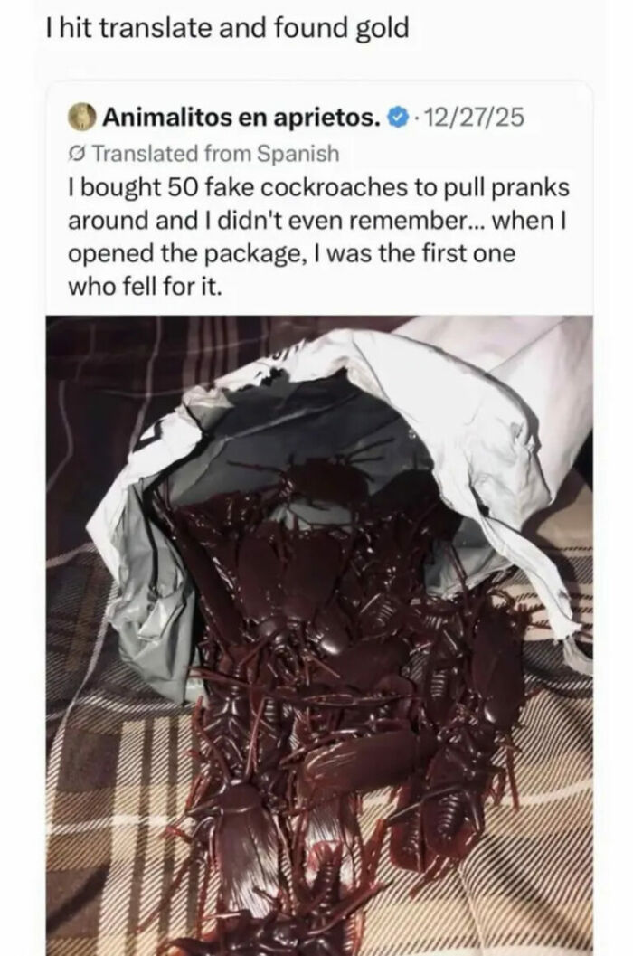 The Internet Is Still Going Strong And Is Serving You These 67 Hilarious Photos The Internet Is Still Going Strong And Is Serving You These 67 Hilarious Photos