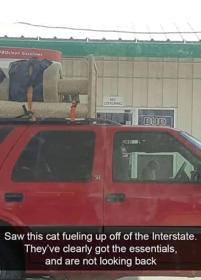The Internet Is Still Going Strong And Is Serving You These 67 Hilarious Photos The Internet Is Still Going Strong And Is Serving You These 67 Hilarious Photos