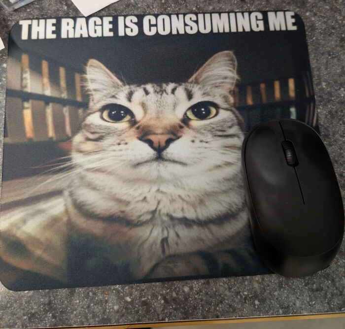 The Internet Is Still Going Strong And Is Serving You These 67 Hilarious Photos The Internet Is Still Going Strong And Is Serving You These 67 Hilarious Photos