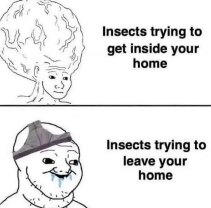 The Internet Is Still Going Strong And Is Serving You These 67 Hilarious Photos The Internet Is Still Going Strong And Is Serving You These 67 Hilarious Photos