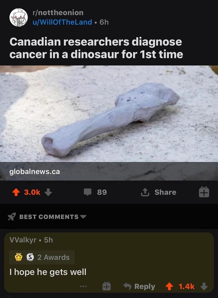 47 Threads That Prove You Always Need To Read The Comments 47 Threads That Prove You Always Need To Read The Comments