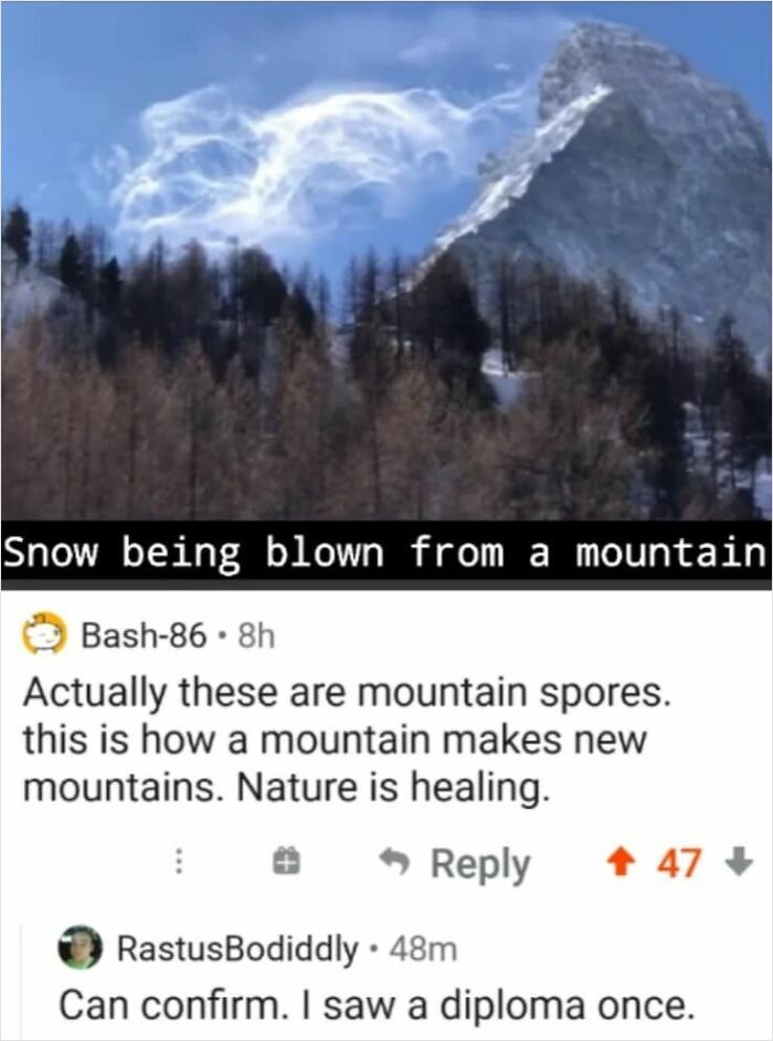 47 Threads That Prove You Always Need To Read The Comments 47 Threads That Prove You Always Need To Read The Comments