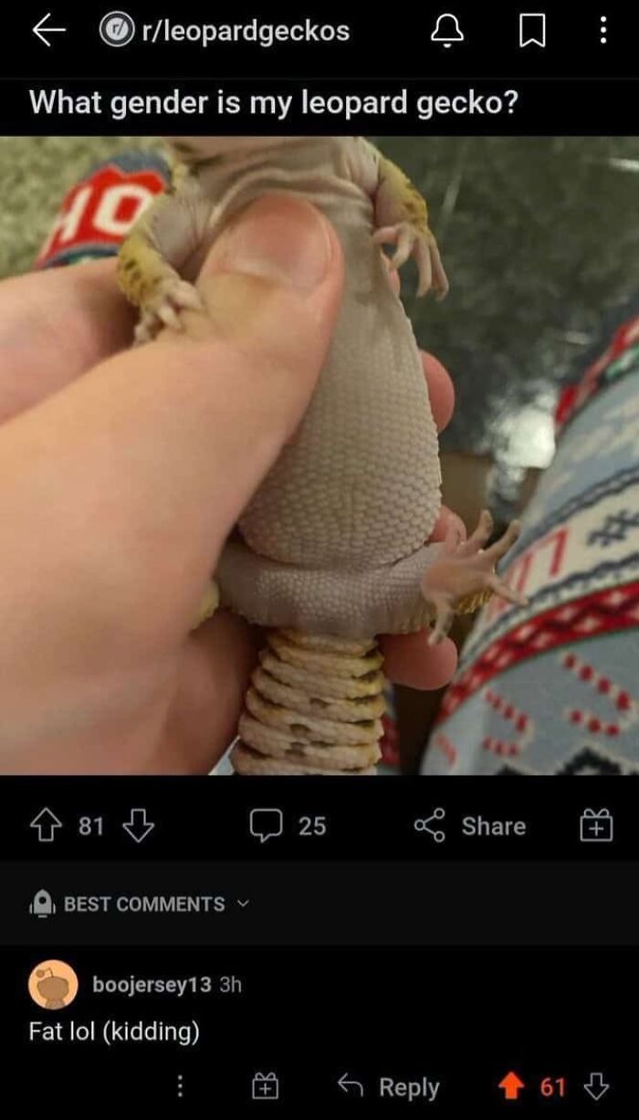 47 Threads That Prove You Always Need To Read The Comments 47 Threads That Prove You Always Need To Read The Comments